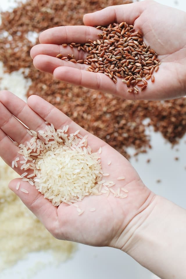 Lose weight during navratri samak rice display